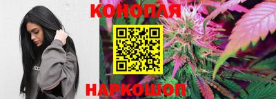 дурь Славгород