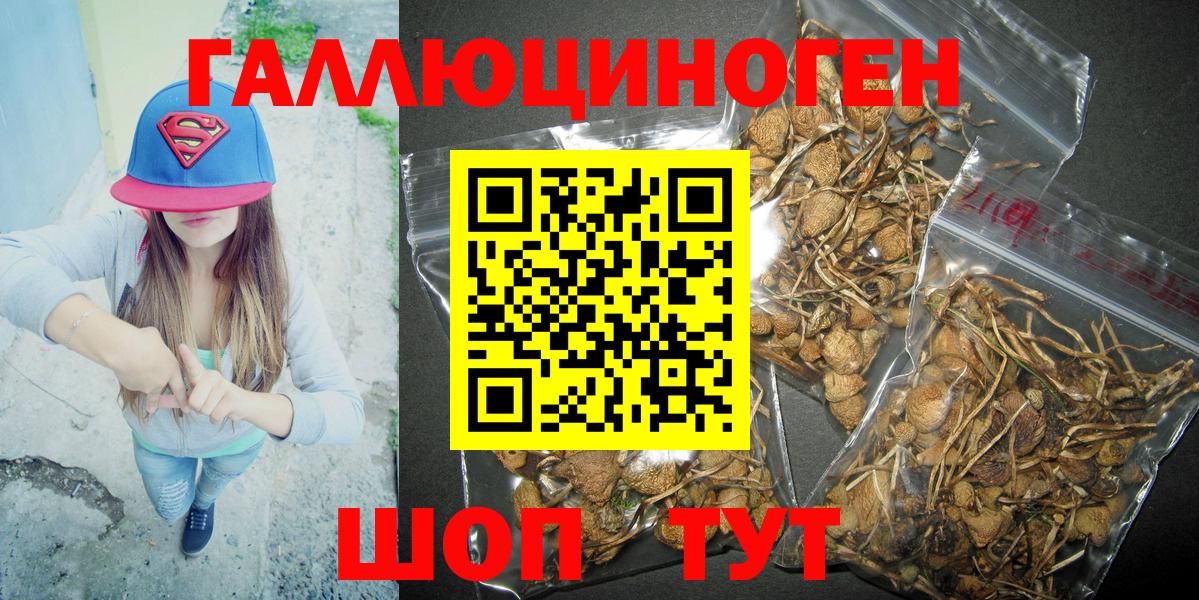 Псилоцибиновые грибы MAGIC MUSHROOMS Михайловка