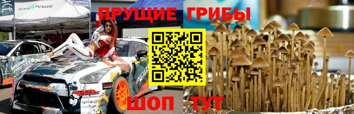 NBOMe Михайловка