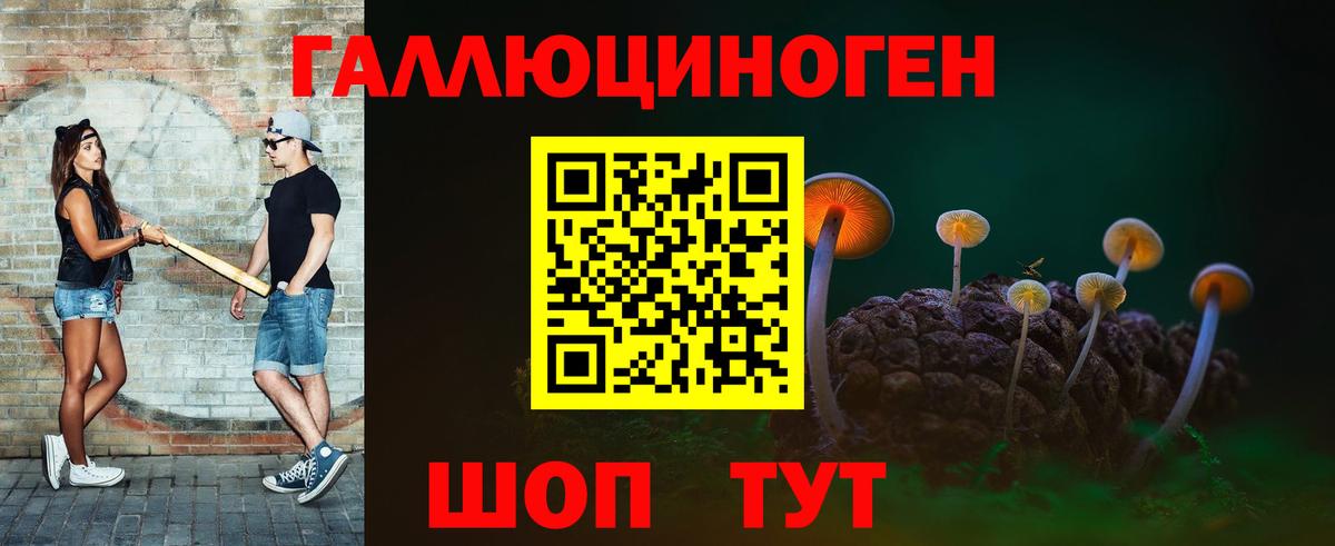 Псилоцибиновые грибы мицелий  Вход с VPN  Михайловка  Псилоцибиновые грибы мухоморы 