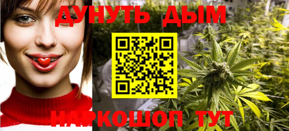 Канабис планчик Михайловка